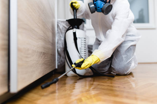 Best Best Pest Control Companies  in Vineyard, CA