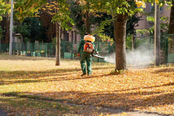 Best Residential Pest Control  in Vineyard, CA
