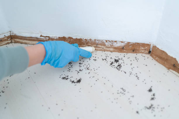 Best Commercial Pest Control Services  in Vineyard, CA